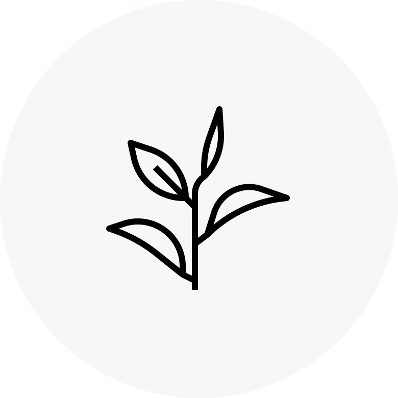 Alt Image